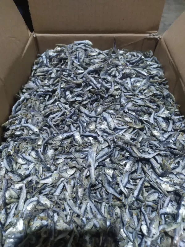 ikan asin ninis rebus